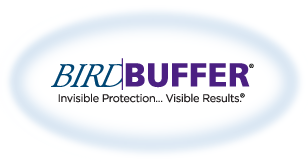 Bird Buffer Logo