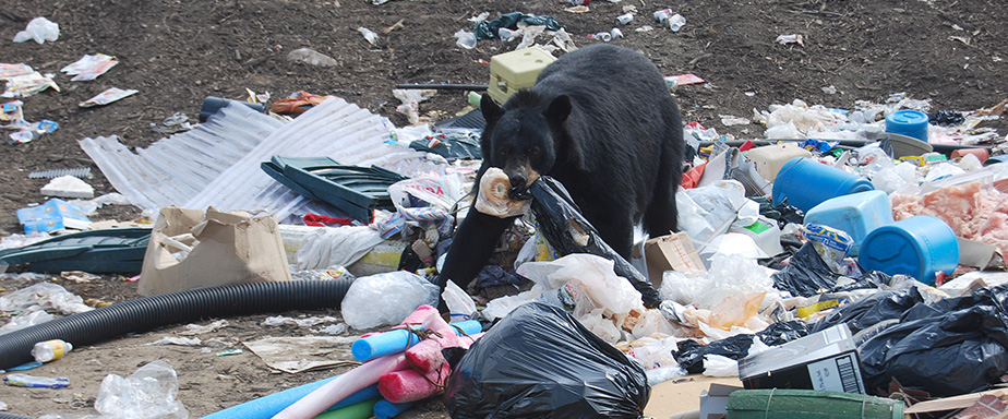 Wildlife Damage Management Conference